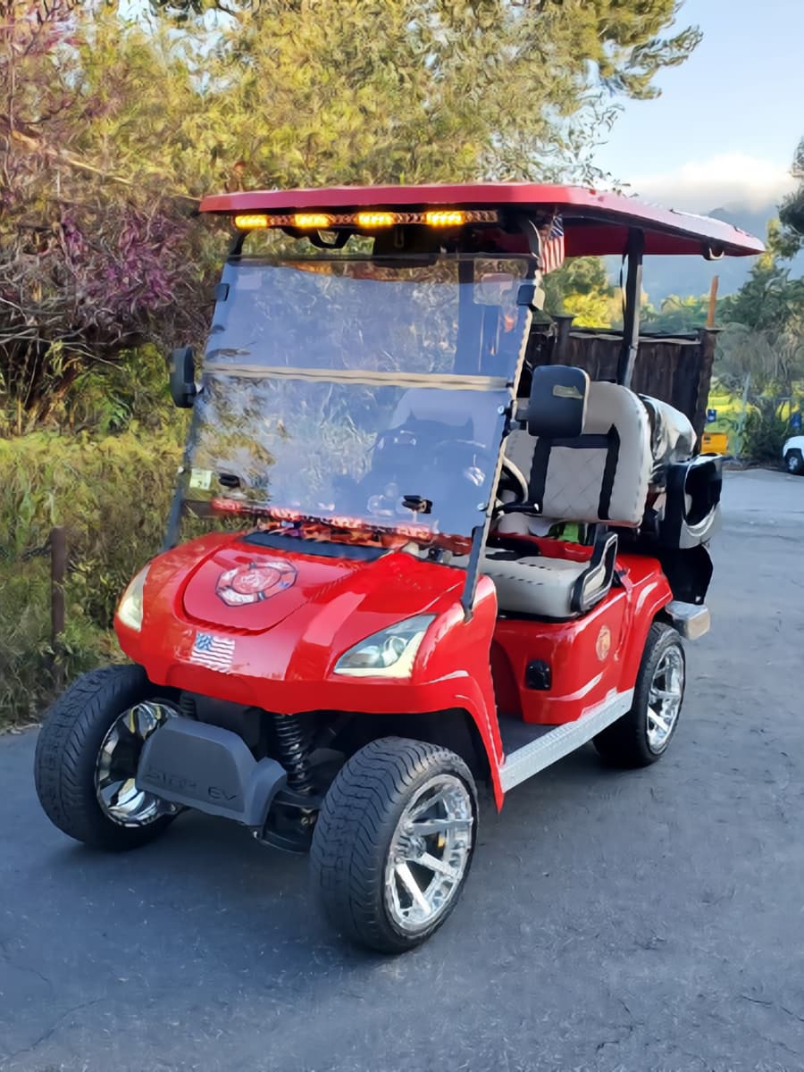 FIRE EMS INC's red gold cart for medical staff